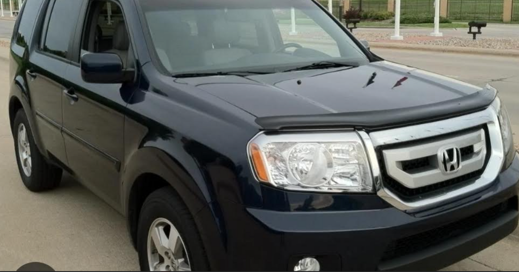 2016-2022 Pilot Smoke Bug Shield